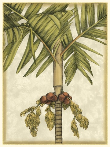Graphic Palms II