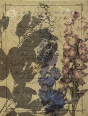 Handwritten Wildflowers I