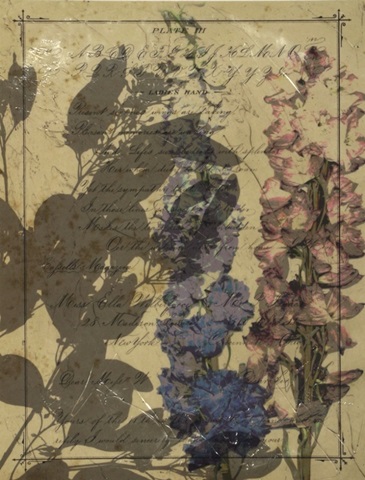 Handwritten Wildflowers I