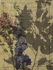 Handwritten Wildflowers II