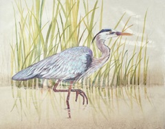 Heron and Reeds I