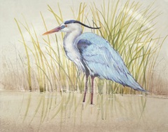 Heron and Reeds II