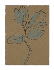 Little Plants of Big Sur I