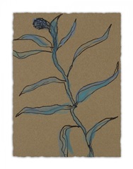 Little Plants of Big Sur IX