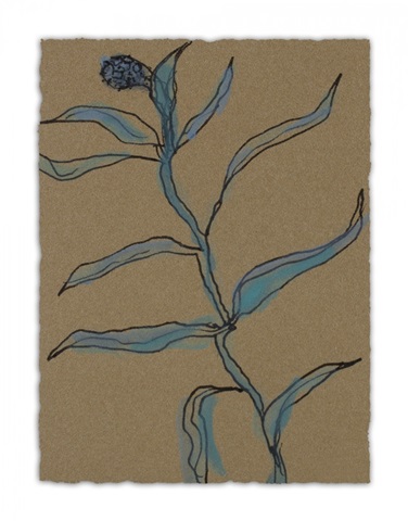 Little Plants of Big Sur IX