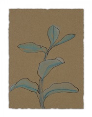 Little Plants of Big Sur V