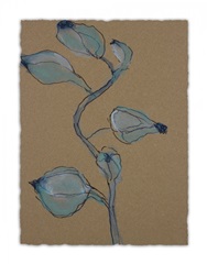 Little Plants of Big Sur VIII