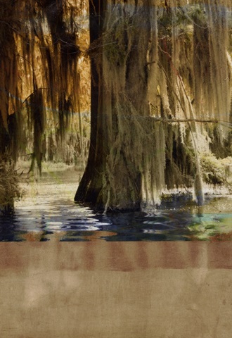 Low Country Trees II