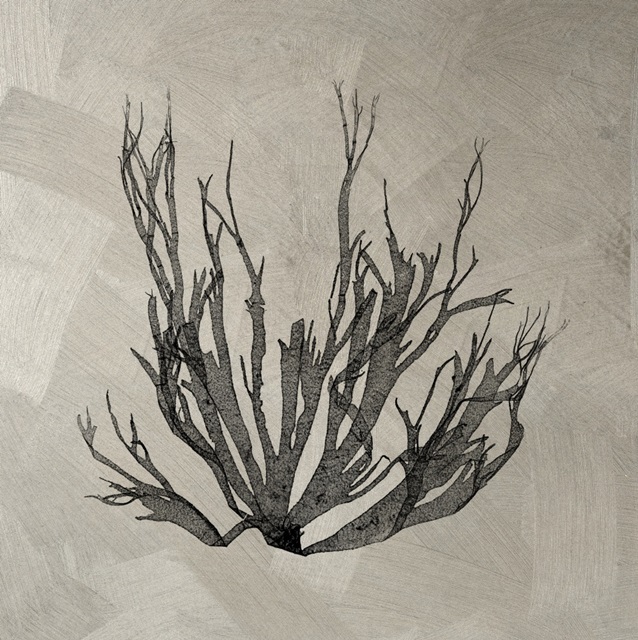 Lustr Coastal Seaweed I in Aged Silver