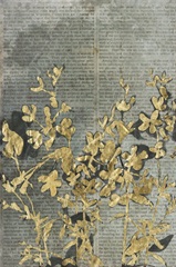 Moonlit Flower Field I