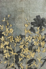 Moonlit Flower Field II