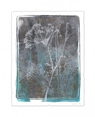 Ombre Wildflowers II