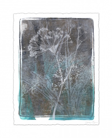 Ombre Wildflowers II