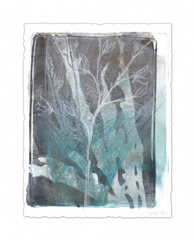 Ombre Wildflowers IV