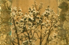 Oxidized Gold Branches