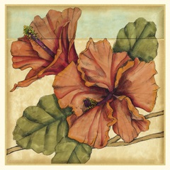 Peacock Hibiscus II