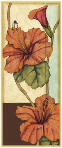 Peacock Hibiscus III