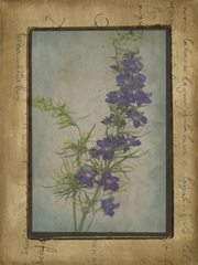 Photographic Floral Collage I