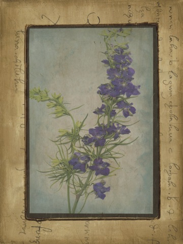 Photographic Floral Collage I