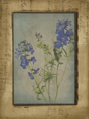 Photographic Floral Collage II