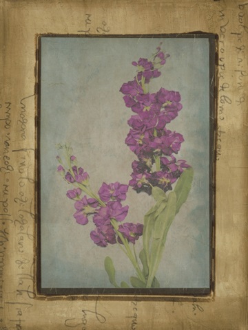 Photographic Floral Collage III