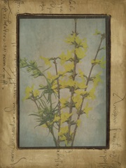 Photographic Floral Collage IV