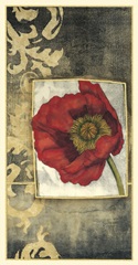 Poppy Poetry III