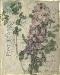 Postcard Wildflowers I