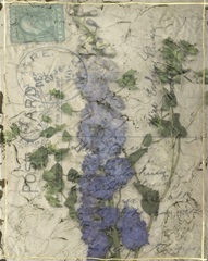 Postcard Wildflowers II