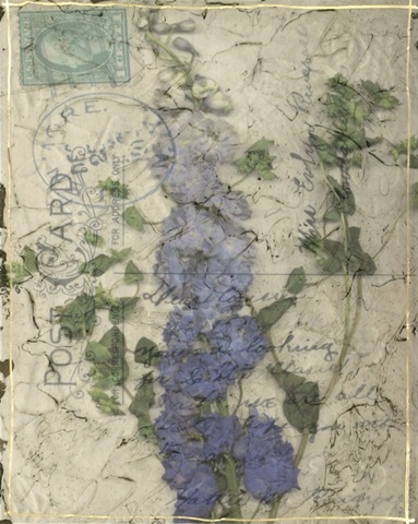 Postcard Wildflowers II