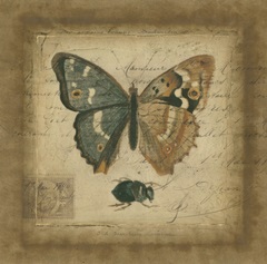 Postscript Butterfly I