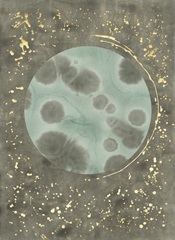 Seafoam Amoeba I