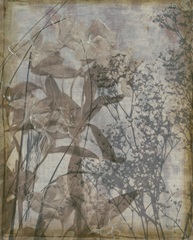 Silvery Wildflowers I