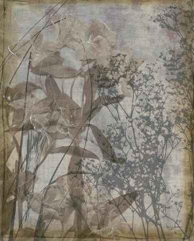 Silvery Wildflowers I