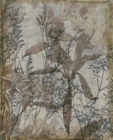 Silvery WIldflowers IV