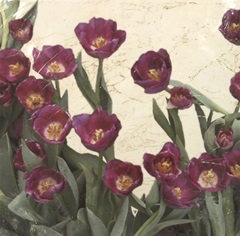Spring Tulips I