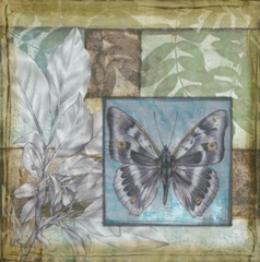 Stained Glass Butterfly I