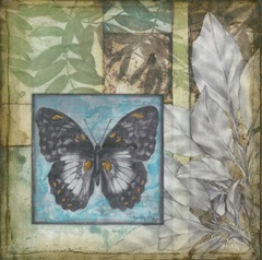Stained Glass Butterfly IV
