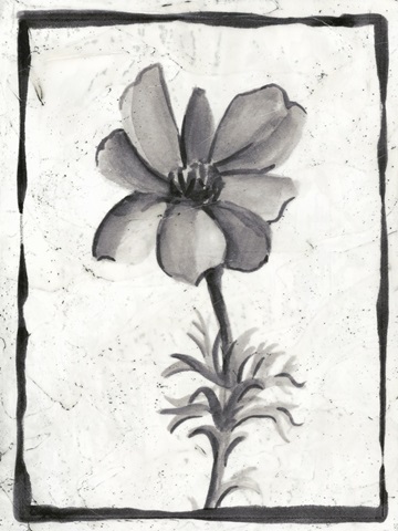 Sumi-e Floral IV