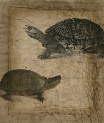 Tandem Tortoise II