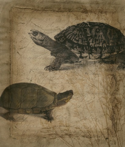Tandem Tortoise II