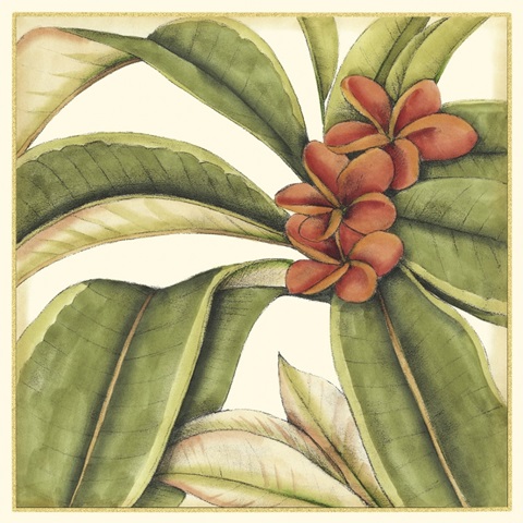Tropical Blooms and Foliage I
