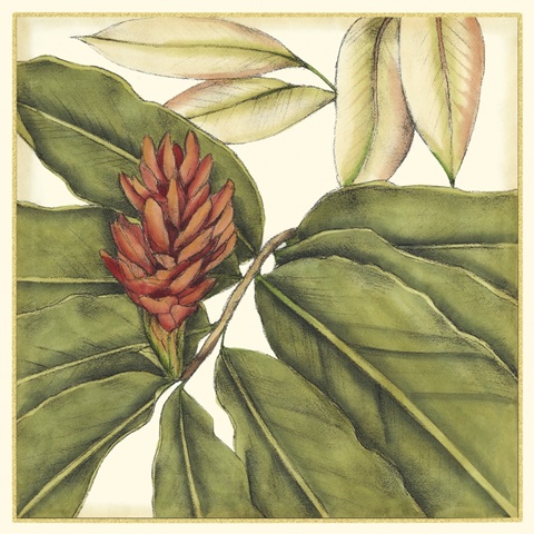 Tropical Blooms and Foliage II