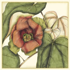 Tropical Blooms and Foliage IV