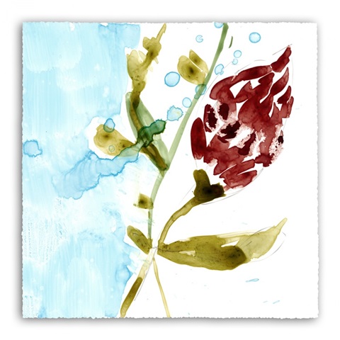 Tropical Display VII