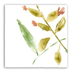 Tropical Display VIII