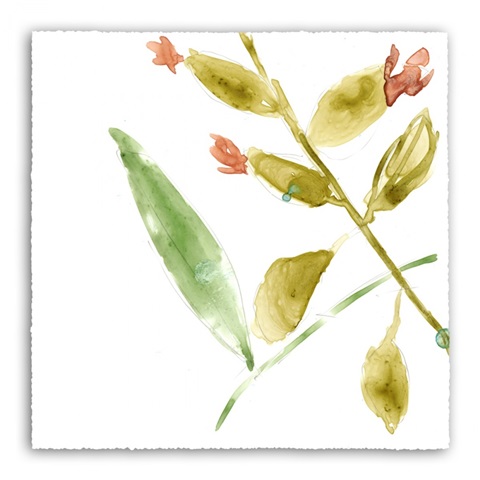 Tropical Display VIII