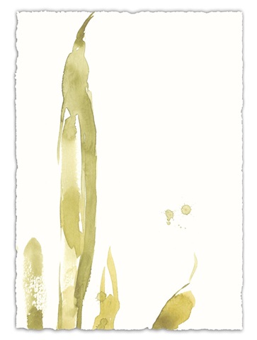 Under Sea Forest III