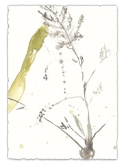 Under Sea Forest VIII