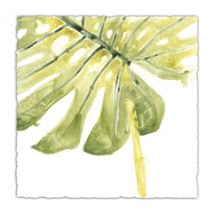 Verdant Impressions I